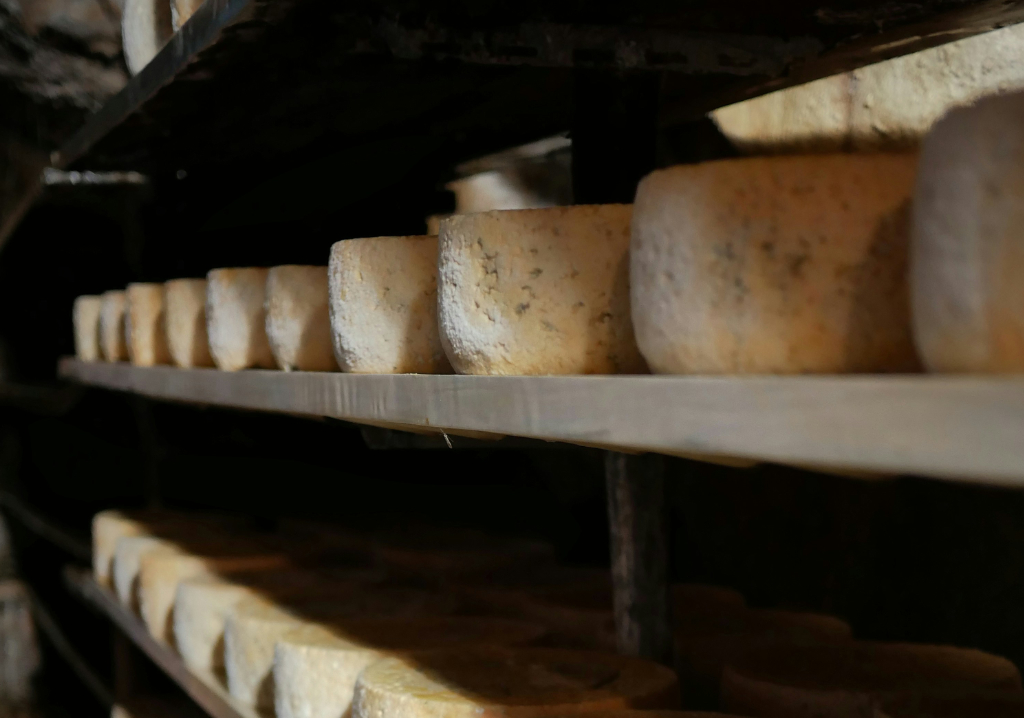 Degustación queso cabrales Picos de Europa, Asturias